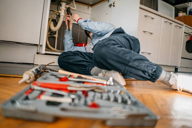 Best Plumbing Inspection Services  in Woodridge, IL