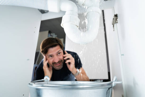 Best Plumbing Repair Near Me  in Woodridge, IL