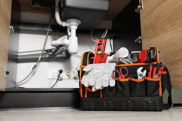 Best Water Leak Repair  in Woodridge, IL