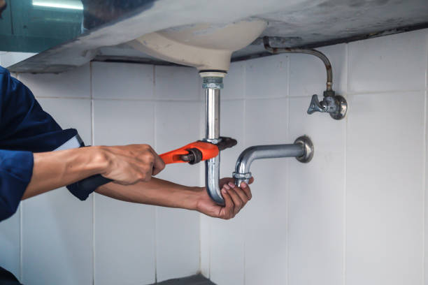Best Affordable Plumber Near Me  in Woodridge, IL