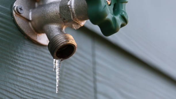 Best Commercial Plumbing Services  in Woodridge, IL