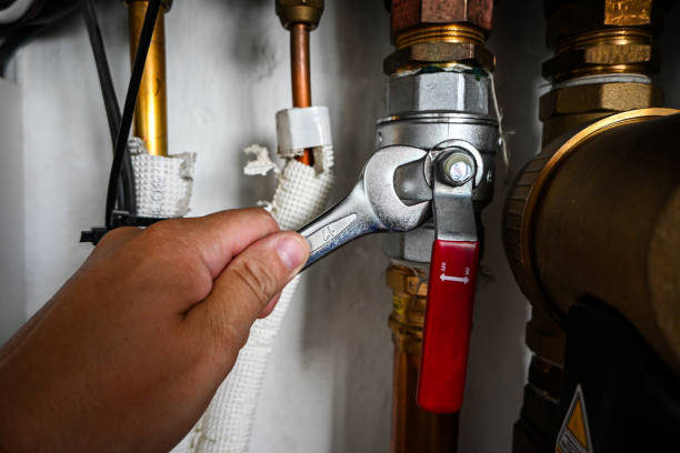 Best Affordable Plumbing Services  in Woodridge, IL